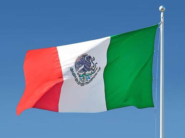 Bandera mexicana, 5 x 8 pies