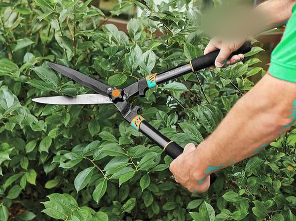 Fiskars tijeras para podar
